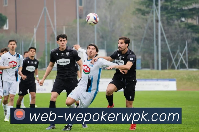 微扑克APP 高清赛事图